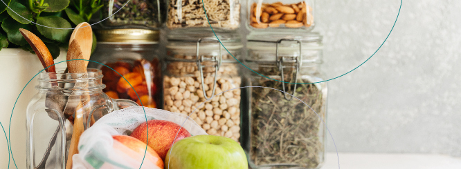 bariatric food containers 